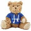 Plush teddy in blue hoody.