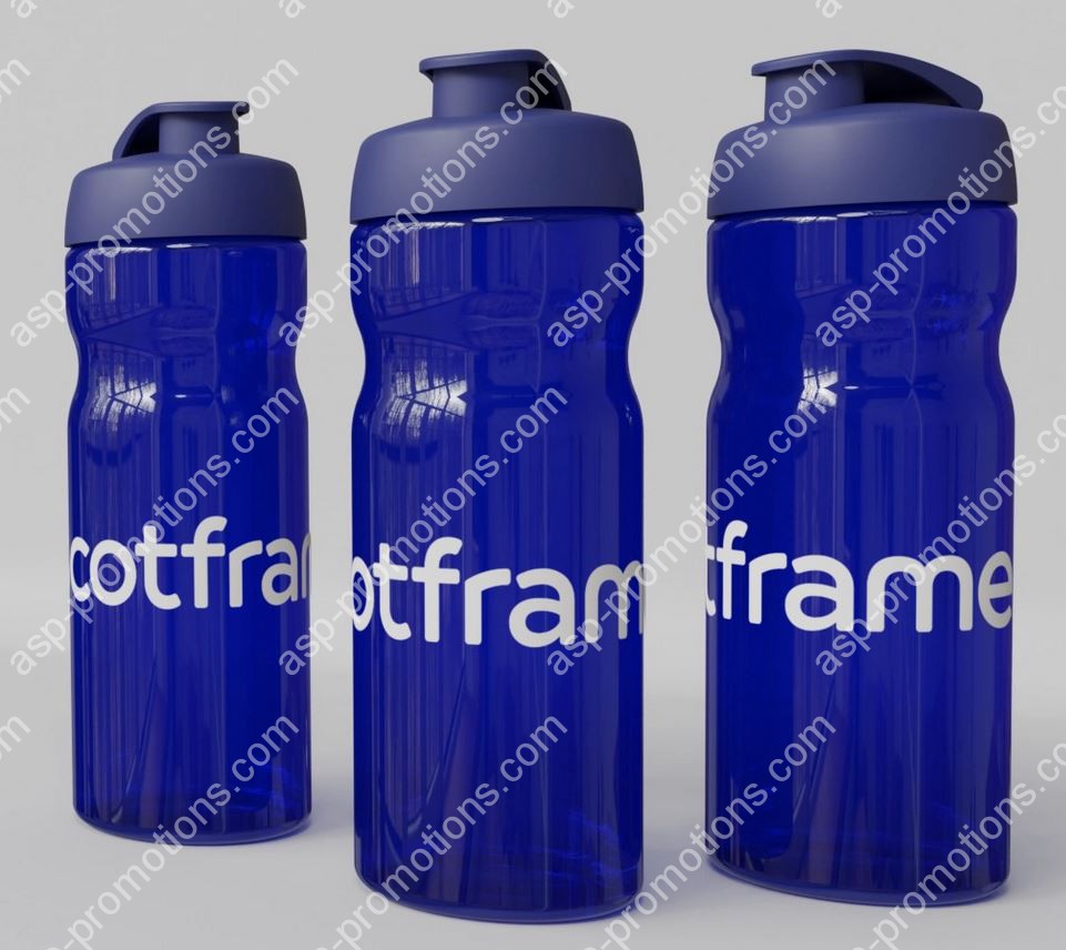 H2O Active ECO base flip lid bottle - 650ml